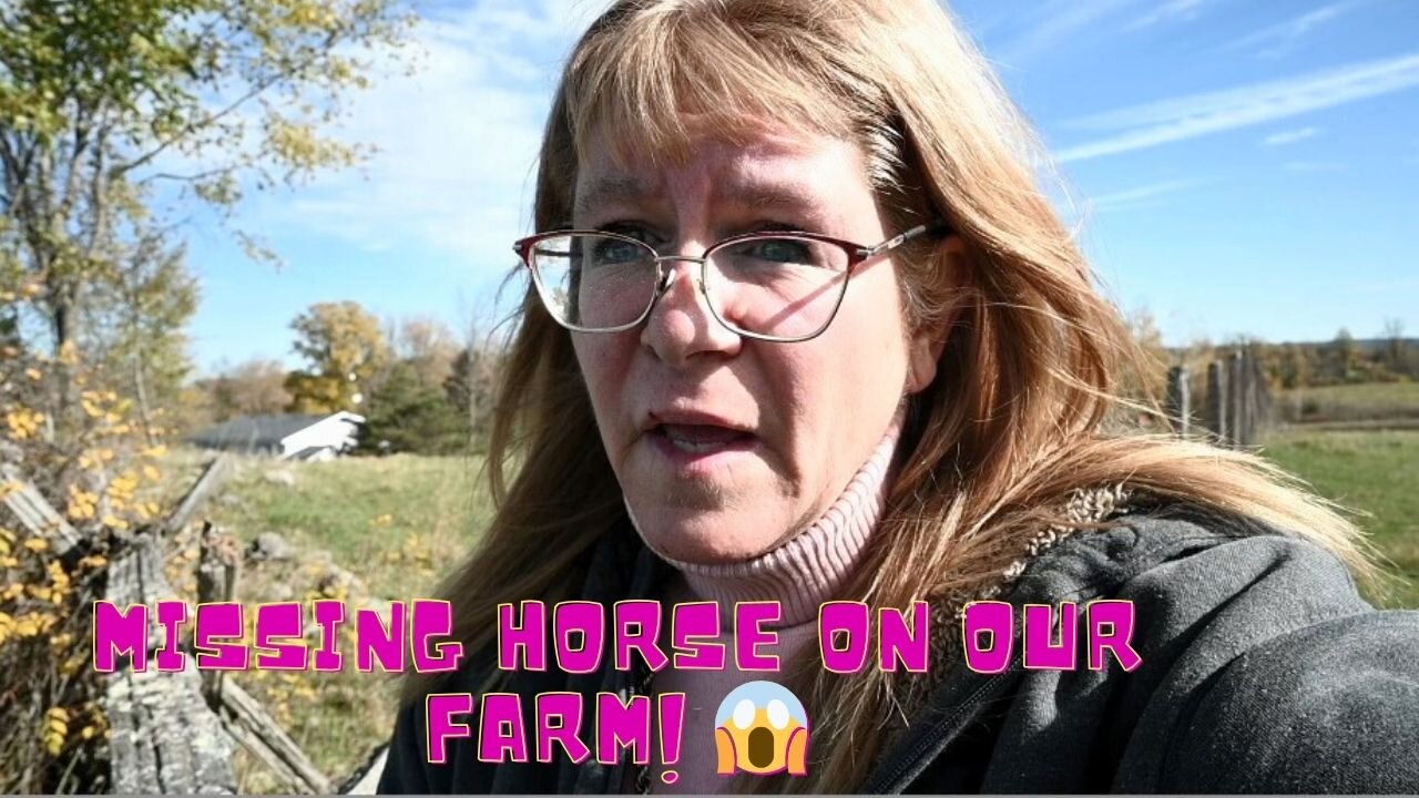 Scouring Our PROPERTY For A Missing HORSE!