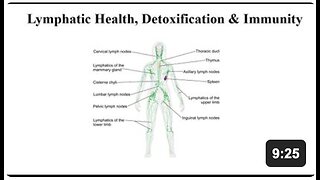Lymph System Supplements - Health, Detoxification & Immunity