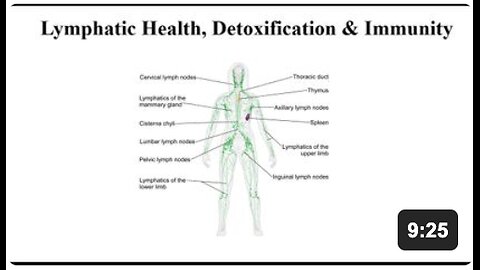 Lymph System Supplements - Health, Detoxification & Immunity