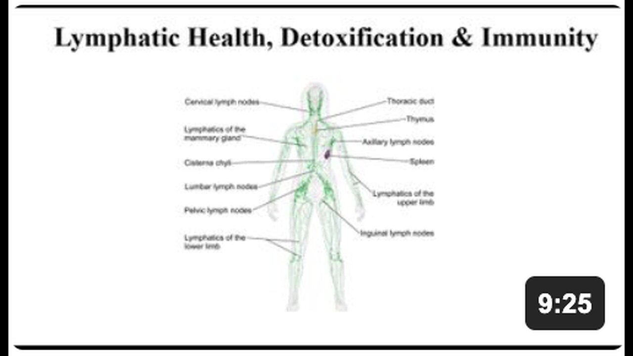 Lymph System Supplements - Health, Detoxification & Immunity