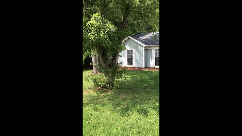 1312 McDowell Farms Dr