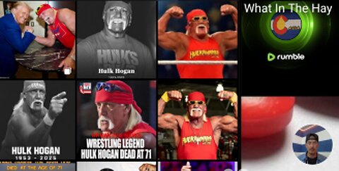 HULK HOGAN Wrestling Super Star Passes away at 71