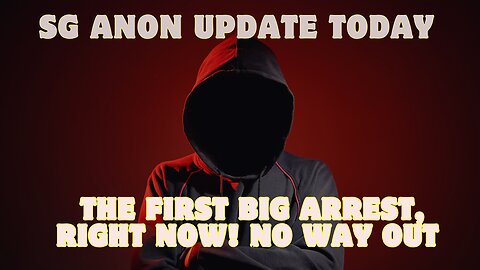 SG Anon Update Today: The First Big Arrest, Right Now!!! No Way Out.