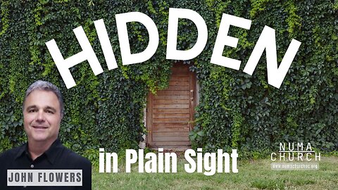 Hidden in Plain Sight by John Flowers