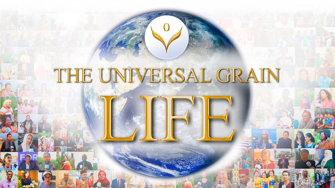 The Universal Grain: Life. What Unites All People? | Documentary