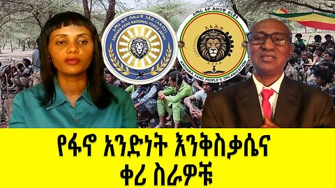 የፋኖ አንድነት እንቅስቃሴና ቀሪ ስራዎቹ