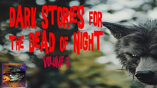 Dark Stories for the Dead of Night | Volume 5 | Supernatural StoryTime E355