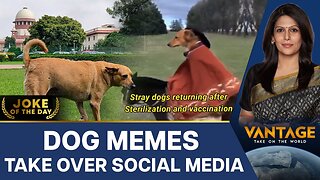 Dogs Have the Last Laugh as Supreme Court Tweaks Order | Vantage With Palki Sharma