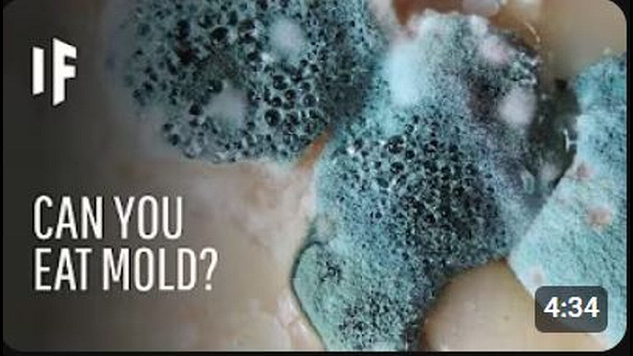 What Happens If You Eat Mold? | The Shocking Health Risks Explained!
