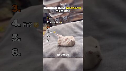 Funniest Medazelli#ranking #medazelli #tiktok