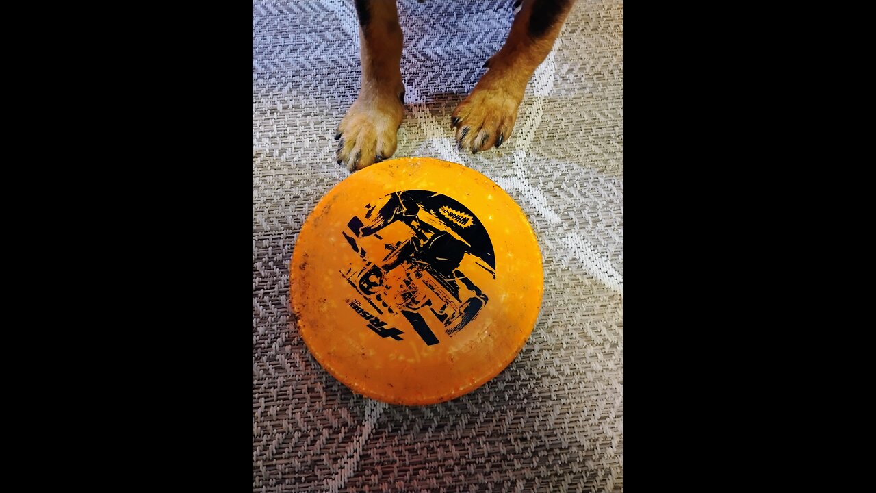 Beautiful weather for Frisbee with Kris