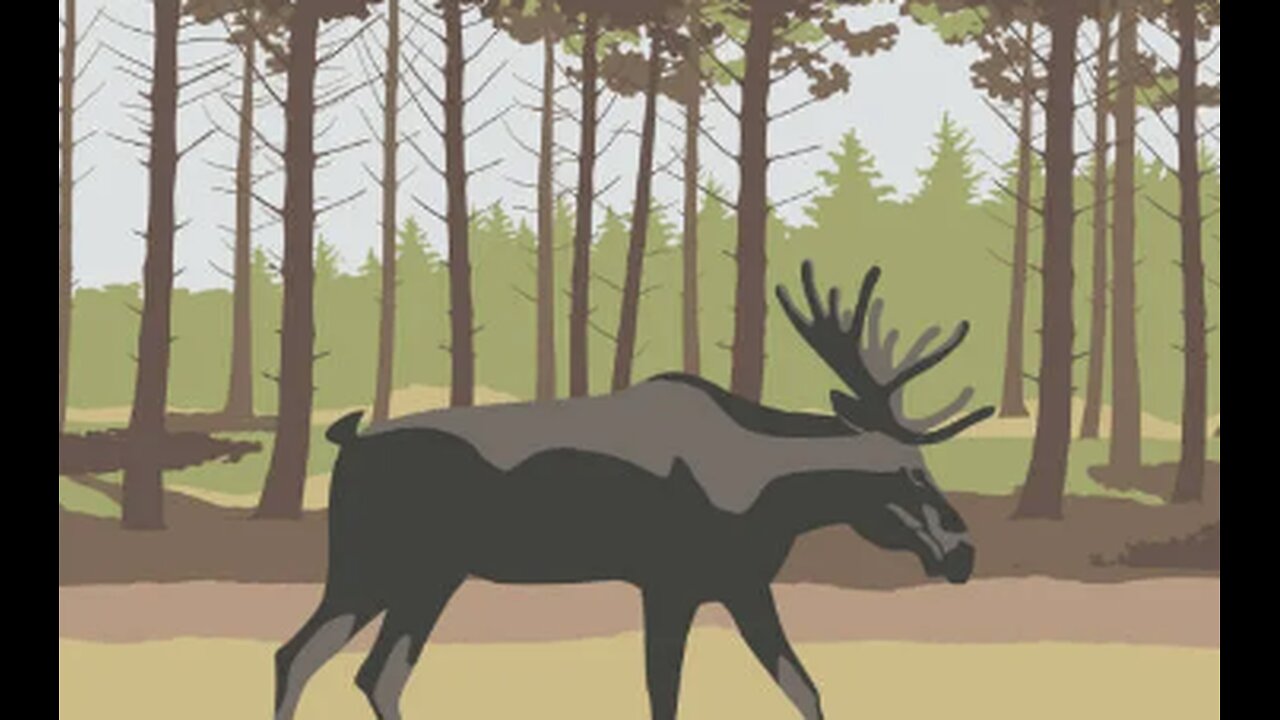 🇨🇦 News roundup #1