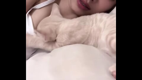 cate