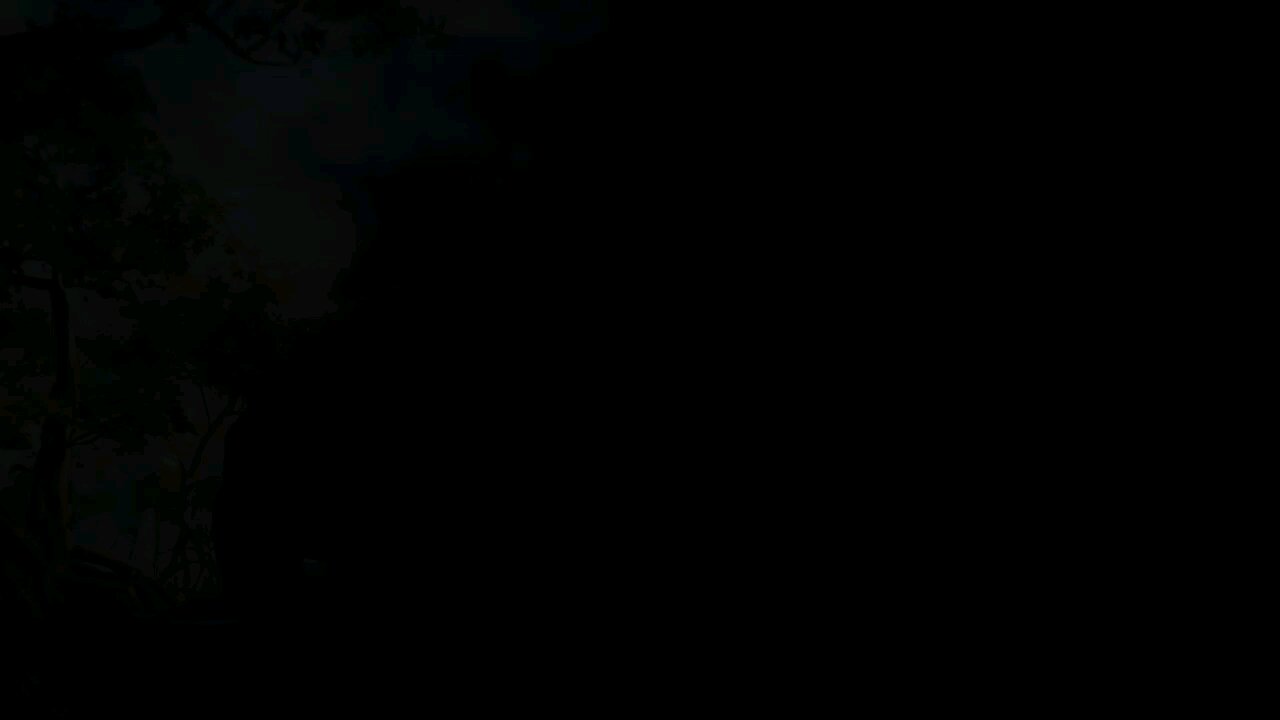 Adventures of crocodile Jones