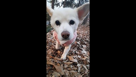 20260115. God with me.