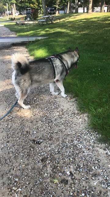 Saturday September 13, The grace of God has been revealed.