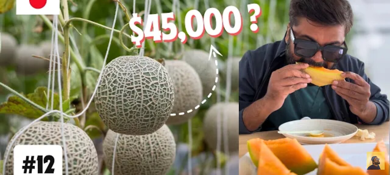 I Tried World's Most Expensive FRUIT in JAPAN 🇯🇵 | EP 12 - THE KING OF MELONS