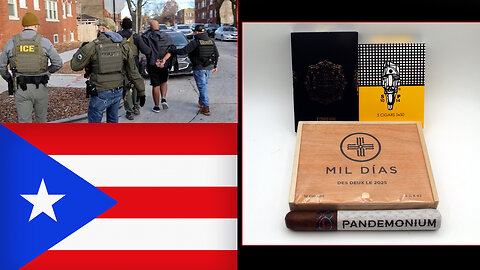 LIVE: NOVEMBER GIVEAWAY WINNER + Angel RELEASED BY I.C.E.