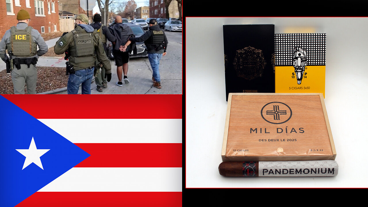 LIVE: NOVEMBER GIVEAWAY WINNER + Angel RELEASED BY I.C.E.