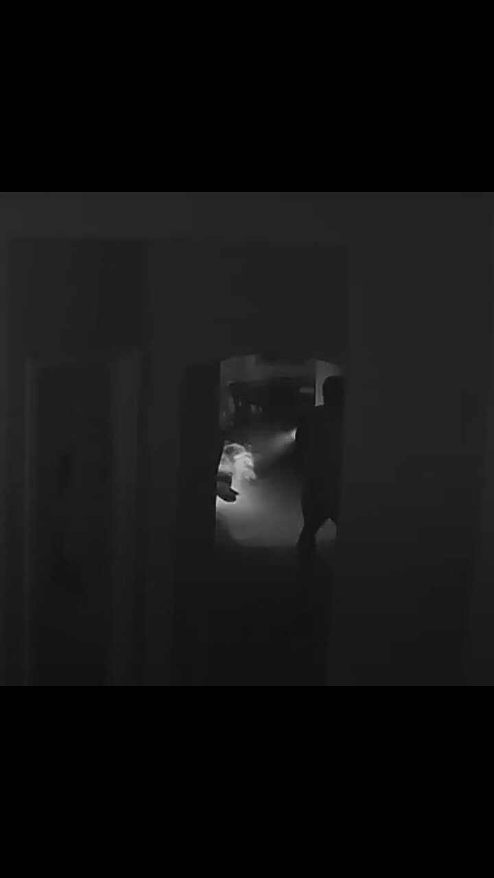 Lleva un rifle para enfrentar a un ladrón en su casa y resulta ser un oso grizzly