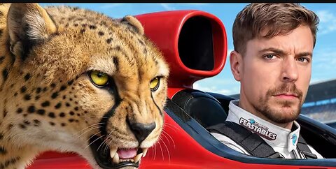 World's Fastest Car Vs Cheetah!