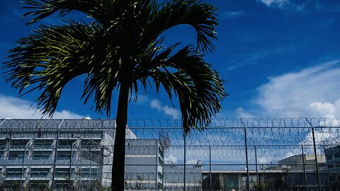 Prison Wonderland🤩