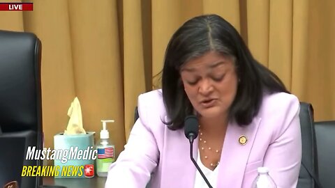 BREAKING NEWS🚨 Rashida Tlaib totally disrespects the Chairman during the Hearing on Sanctuary Cities