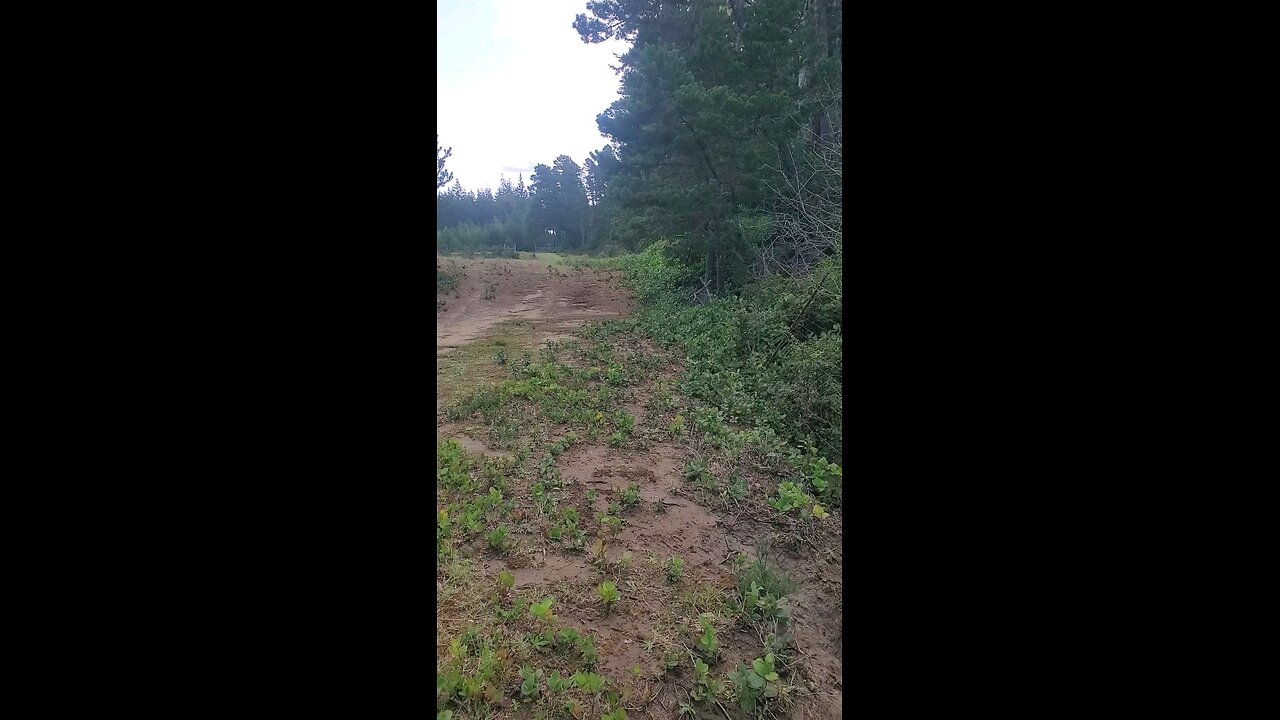 source of flood
