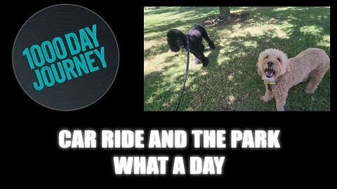 1000 Day Journey 0780 Car Ride & The Park, What a Day