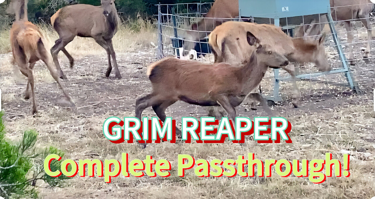 Great Morning Hunt Success!