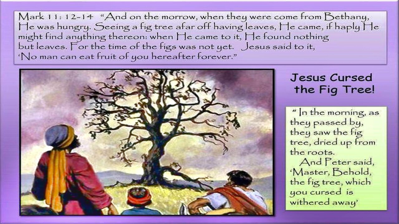 Holy Monday: Let Us Not Be Like The Barren Fig Tree