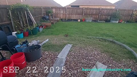 Happy, unsuspecting bunny!