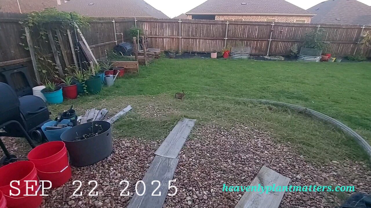 Happy, unsuspecting bunny!