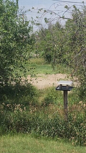 Trespassing and Pissing Again