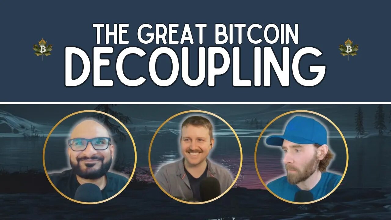 Why isn't bitcoin crashing with the markets?