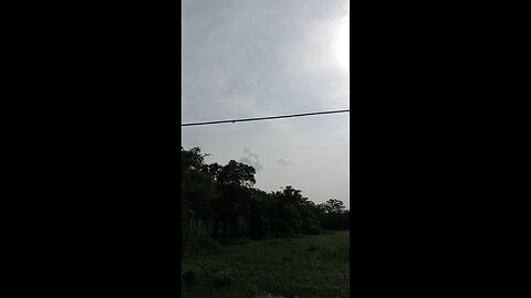 lion in sky
