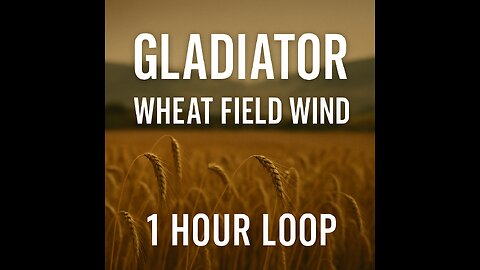 Gladiator Wheat Field Wind | 1 Hour Loop | cool_sounds_on_repeat