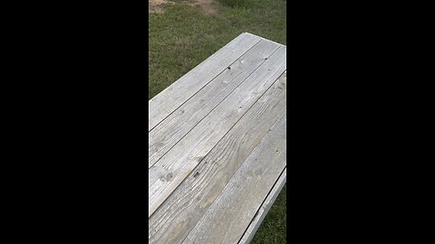 Armor Piercing Slug V. AR500 Body Armor