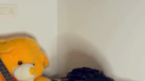 Janah meri janah cover late night feel