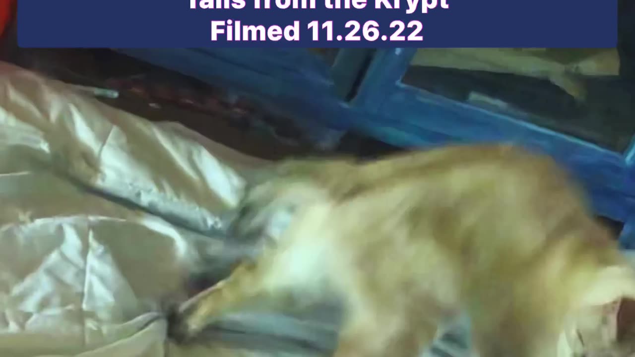 Pancake spins
