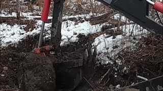 Man vs. Stubborn Stump_ Watch the Snow-Covered Showdown! #homesteading #livingoffgrid #offgrid