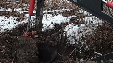 Man vs. Stubborn Stump_ Watch the Snow-Covered Showdown! #homesteading #livingoffgrid #offgrid