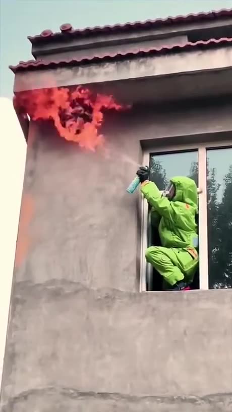 The Best Way To Remove A Hornet's Nest!!!