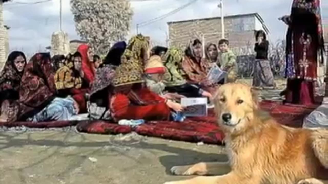 Zionist NWO Liars - No War With Iran!