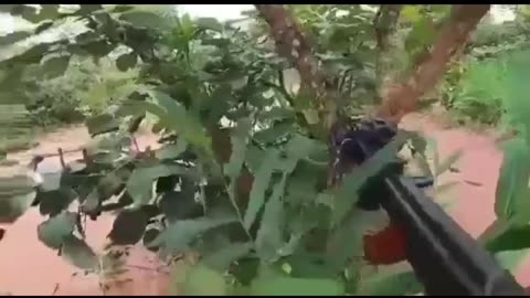 The Successors Of PMC Wagner Doing In Africa Now?