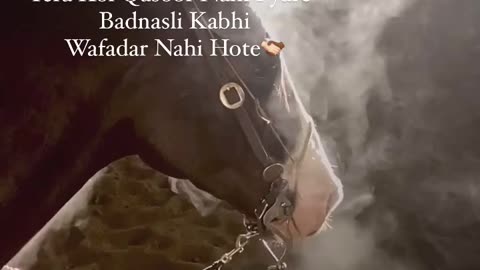 Viral.