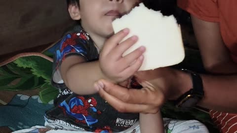 Nagkaon si Grey ug sandwich bread