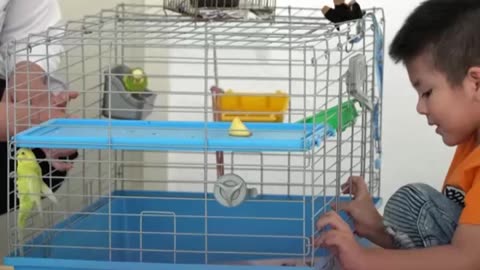 Animales que sanan: terapias con gatos, aves y caballos
