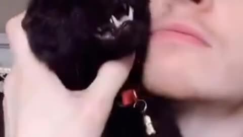 funny animal video
