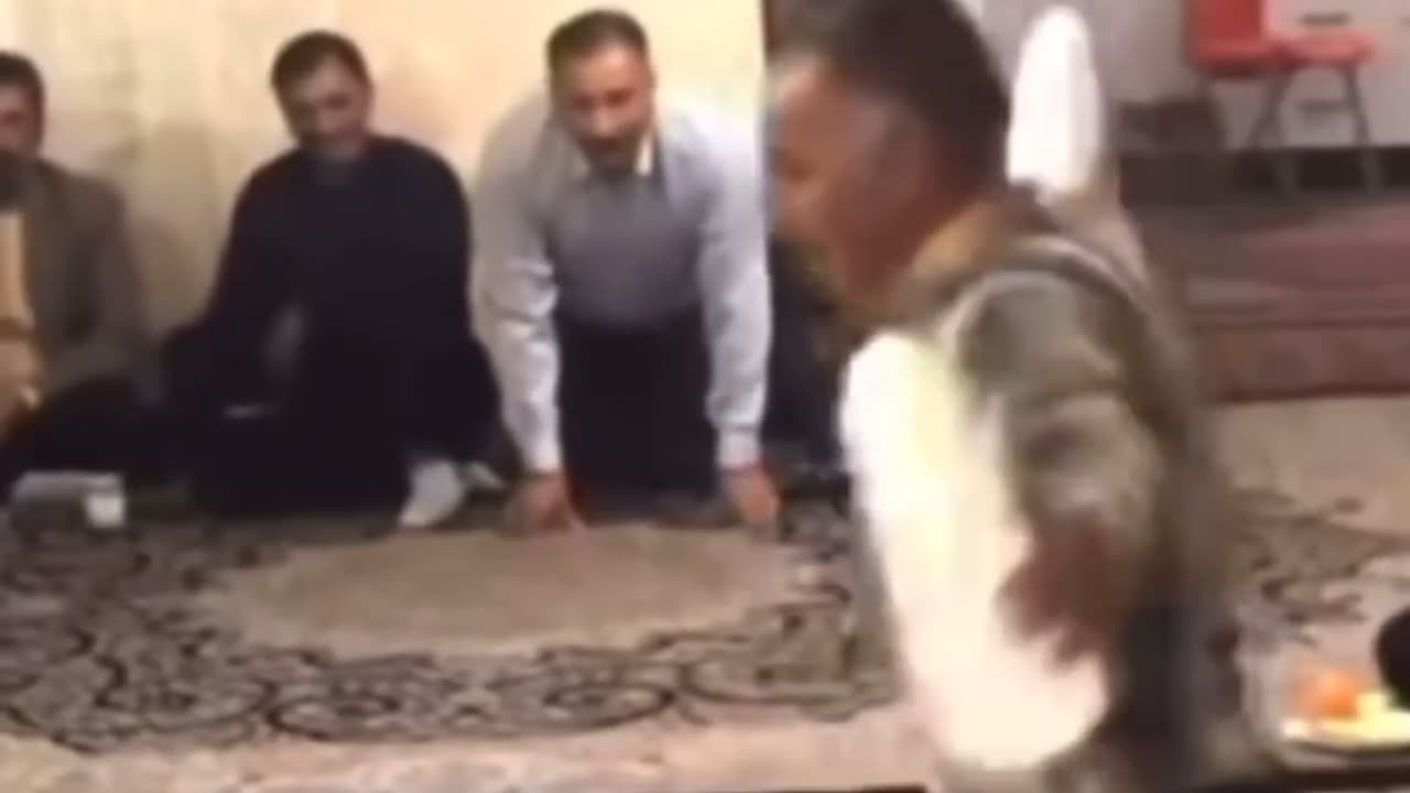 funnyvideosdaily